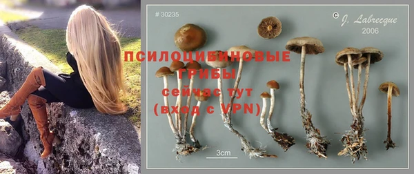 не бодяженный Армянск