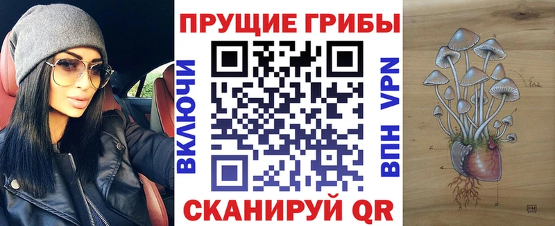 Галлюциногенные грибы Magic Shrooms Лихославль